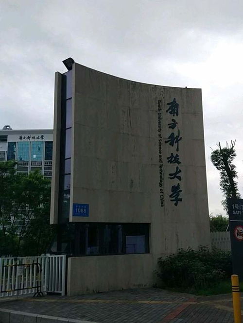 南方科技大学生科院温子龙教授