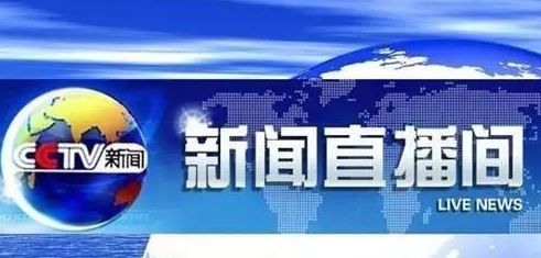 厉害 巢湖因为这件大案上了央视新闻