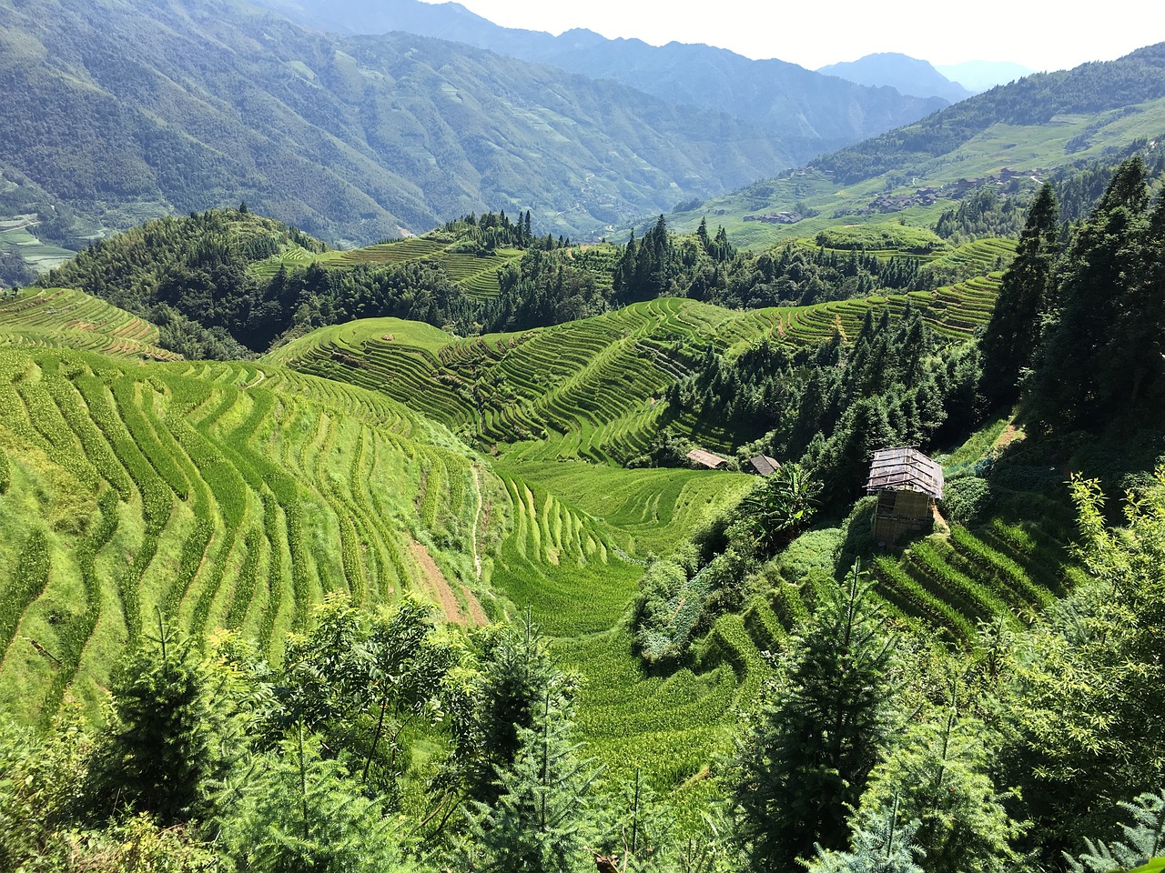 探索教育新维度，桂林旅游高等专科学校学报——引领旅游教育的潮流与创新