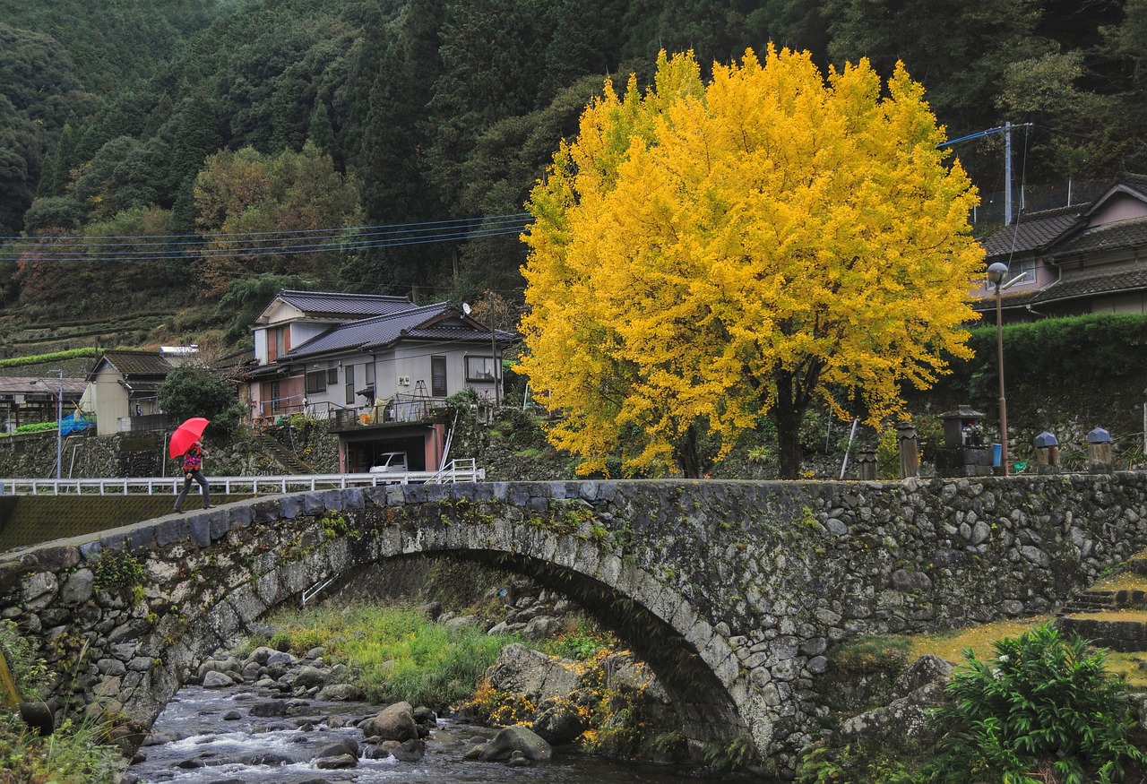 全国赏秋地图出炉，带你领略五彩斑斓的秋日美景